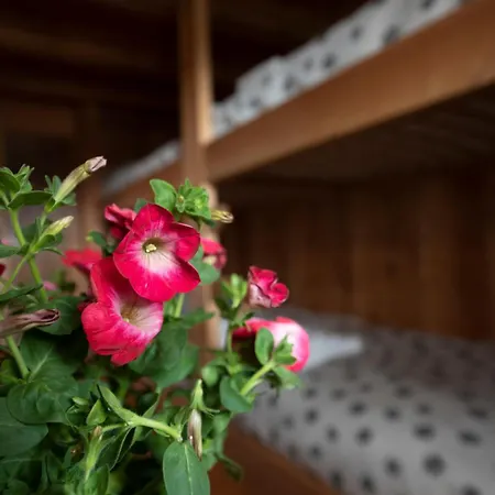 Chalet A-waay Stadel Walser Betta *