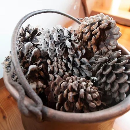 A-waay Stadel Walser Betta