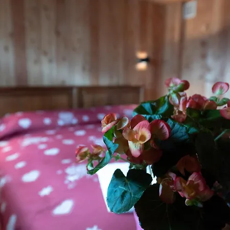 Chalet A-waay Stadel Walser Betta