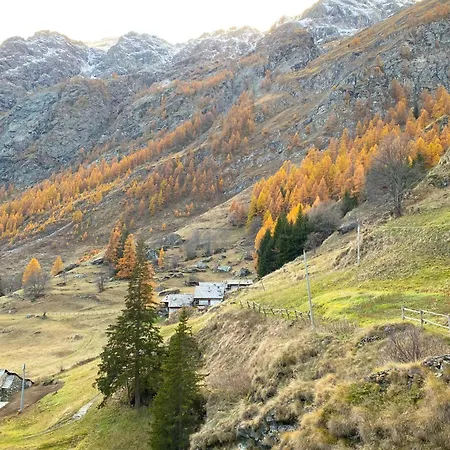 Domek alpejski A-waay Stadel Walser Betta