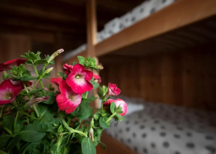 Chalet A-waay Stadel Walser Betta *