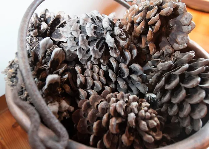 A-waay Stadel Walser Betta